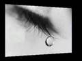 Emotional Abuse