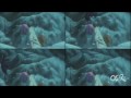 One of my oldes videos found in my computer 8D