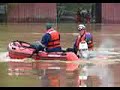 Horses in Flood water