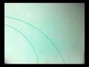 Re: Minilogue - Animals (short version)