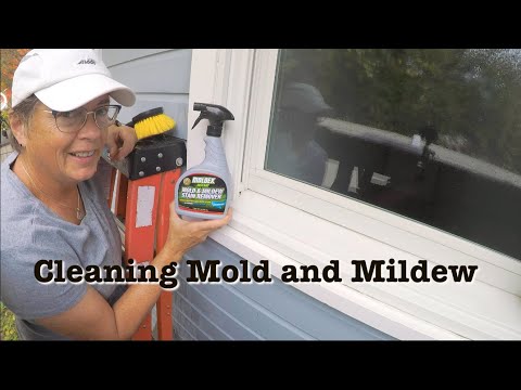video-linktoworks-Cleaning Mold and Mildew From Window Frames