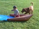 barrett and Drew