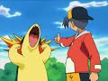 Pokèmon Typhlosion Tribute