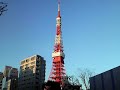 ★全額無料でゲト!超品薄ドコモP905iで東京タワー・ライブ・ハルヒセクシー・声優・グラドル・色々撮って見たよ