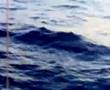 westerly sailing in Norht Cyprus