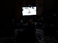 Click here to watch this video My Cat is Weird Pervert..