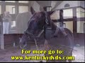Smarty Jones @ Three Chimneys 2006 Smarty Jones @ Three Chimneys 2006