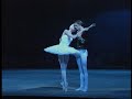 \"Swan Lake\" Lopatkina