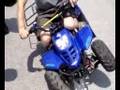 Quad