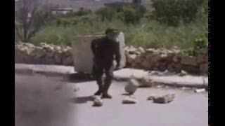 مخيم العروب 2016