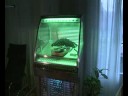 Jukebox Rock\