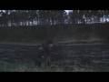 *Underbar lax, flugfiske i river dee, flyfishing, atlantic salmon.