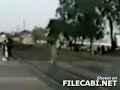 Stop! LOOK!  & Listen!!