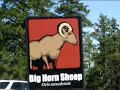 these were taken on a recent visit to bear country usa. located outside of rapid city taking mt rushmore road. the background music is god of wonders. the place is truely a god of wonders and a definite must see.