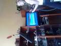 hanka ehehe