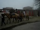 Cabalgata