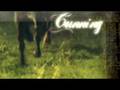 The ~*HORSE*~ commercial