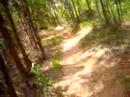 dow hill no v�io