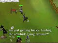 Runescape money tutorial for non-mem Runescape money tutorial for non-mem