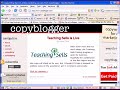 Google Search Spam Hand Editing