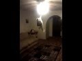 Cat Jumps And Pulls Ceiling Fan Light Switch - animals, cat, ceiling fan, jump, light, pets, switch