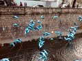 Delfines en la Ca�ada, Cordoba, Argentina