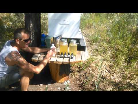 TREATMENT FREE BEE KEEPING - FatBeeman's secret recipe with our own twist - 3Canyons Permaculture