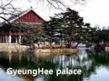 [Welcome to Korea] 151 bus tour - solongos.wmv