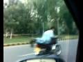 morning stunt