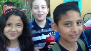 PolinizAmigos Learn about the Importance of Bats