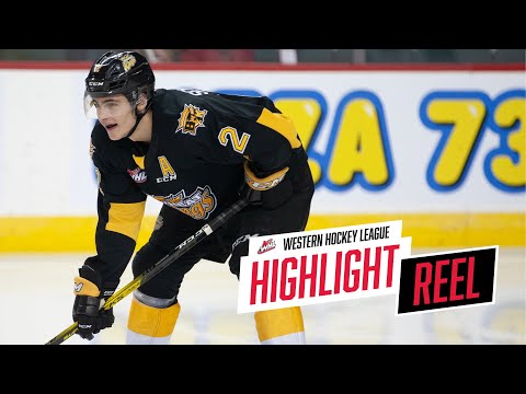 2019-20 HIGHLIGHT REEL | Braden Schneider