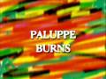 paluppe - burns - polczyn zdroj