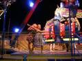 videos de Ferias De Almeria (Fotos)
