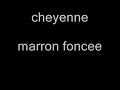 mes chevaux