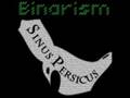 Binarism - Sinus Persicus
