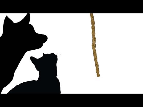CAT GAMES - SUPER STRING THING (FOR CATS ONLY)