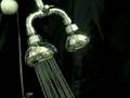 Dual Shower Arm w/Diverter Flow Control