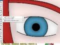 Thumbnail #3