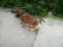 jolanta-goes-to-ricks-house-funny-.html