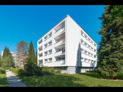 Video Prodej bytu 3+1