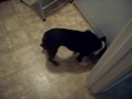 buttons after runnin buttons after runnin
