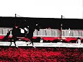 Horses [Diso lights] xD ..x