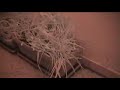 Infrared test