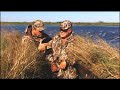Calling Teal