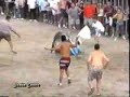 COGIDAS Y SUSTOS DE TOROS