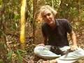 Bolivia tropical forest - foresta amazzonica