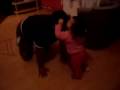 videos de Perfekte Affe
