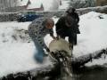 videos de deversement 017