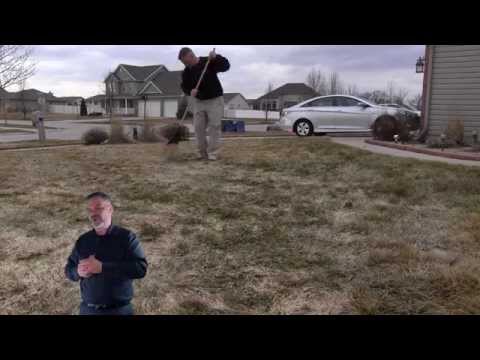 how to care lawn