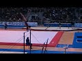 Shawn Johnson  Gran prix Jesolo UB